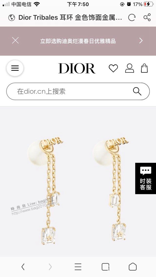 Dior飾品 2021新款DIOR迪奧字母耳釘耳環耳飾  zgd1354